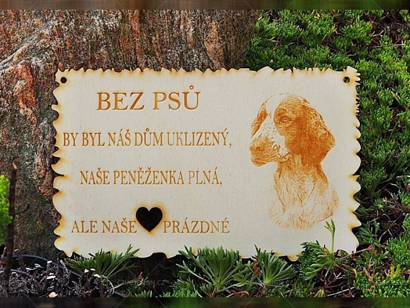Welsh Springer Spaniel 200 x 125mm -ZV20/30