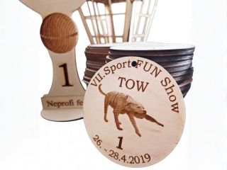 Medaile 100 mm -  motiv na přání