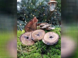 Dřevěný plátek s kůrou impr.60mm  V20-48