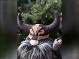 Viking Flok se sekyrkou VAD72