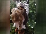 Viking Flok se sekyrkou VAD72