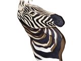 3D obraz zebra 300 x 210 mm - 3M21
