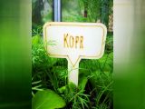 Zápich Kopr 135 mm - ZA10